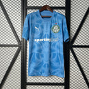 Camisa Palmeiras 25/26 Goalkeeper