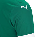 Camisa Palmeiras 25/26 – Home Verde (Linha Torcedor Premium)
