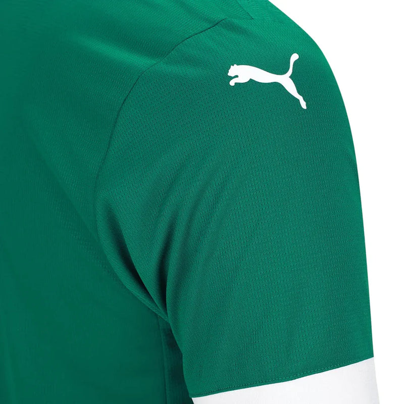 Camisa Palmeiras 25/26 – Home Verde (Linha Torcedor Premium)