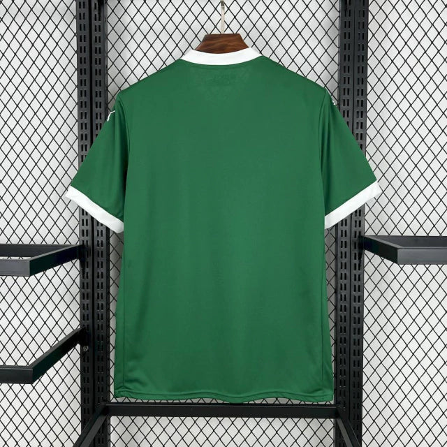 Camisa Palmeiras 25/26 – Home Verde (Linha Torcedor Premium)